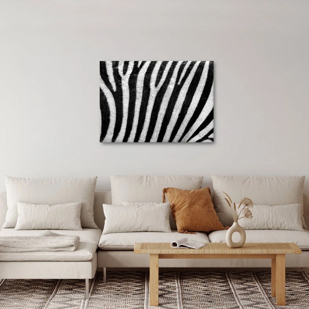 Tablou cu piele de zebră (70x50 cm)