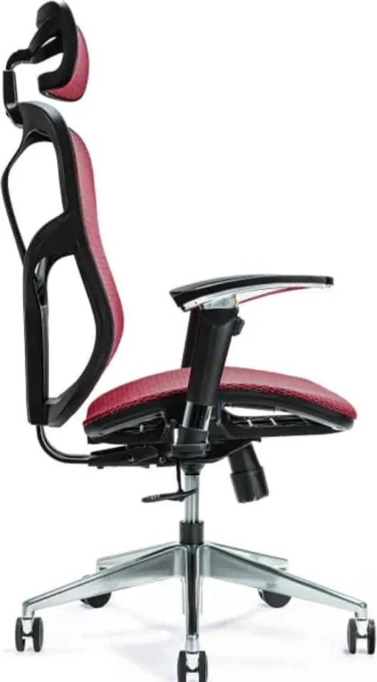 Scaun lemn masiv de birou ErgoFlex - Verde