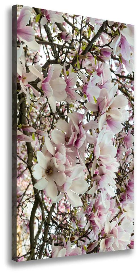 Tablou canvas Flori magnolia