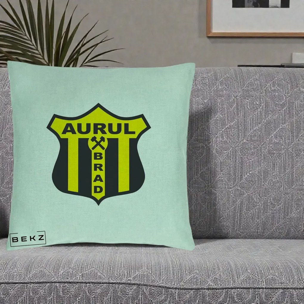 Perna Personalizata Aurul Brad Fotbal, 40x40 cm, Verde Menta, Husa Detasabila, Perna Inclusa, BEKZ®