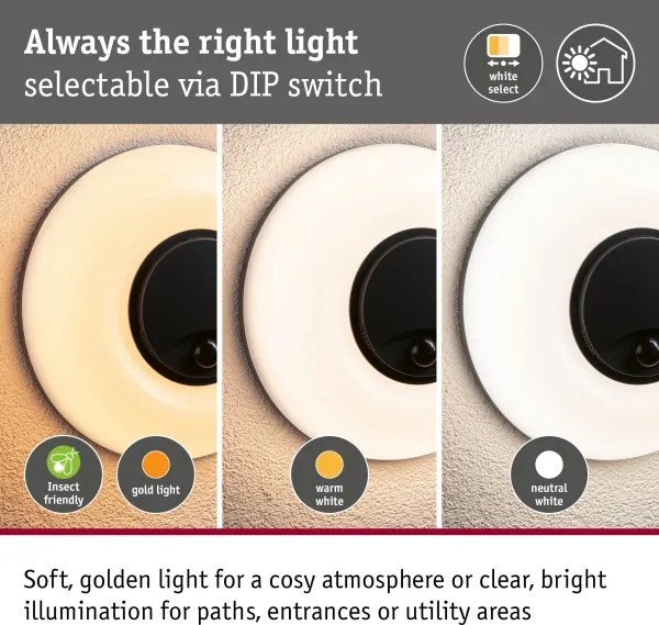 Paulmann 94956 - LED/20,5W IP65 Aplică de perete pentru exterior, reglabilă AUREVA 230V