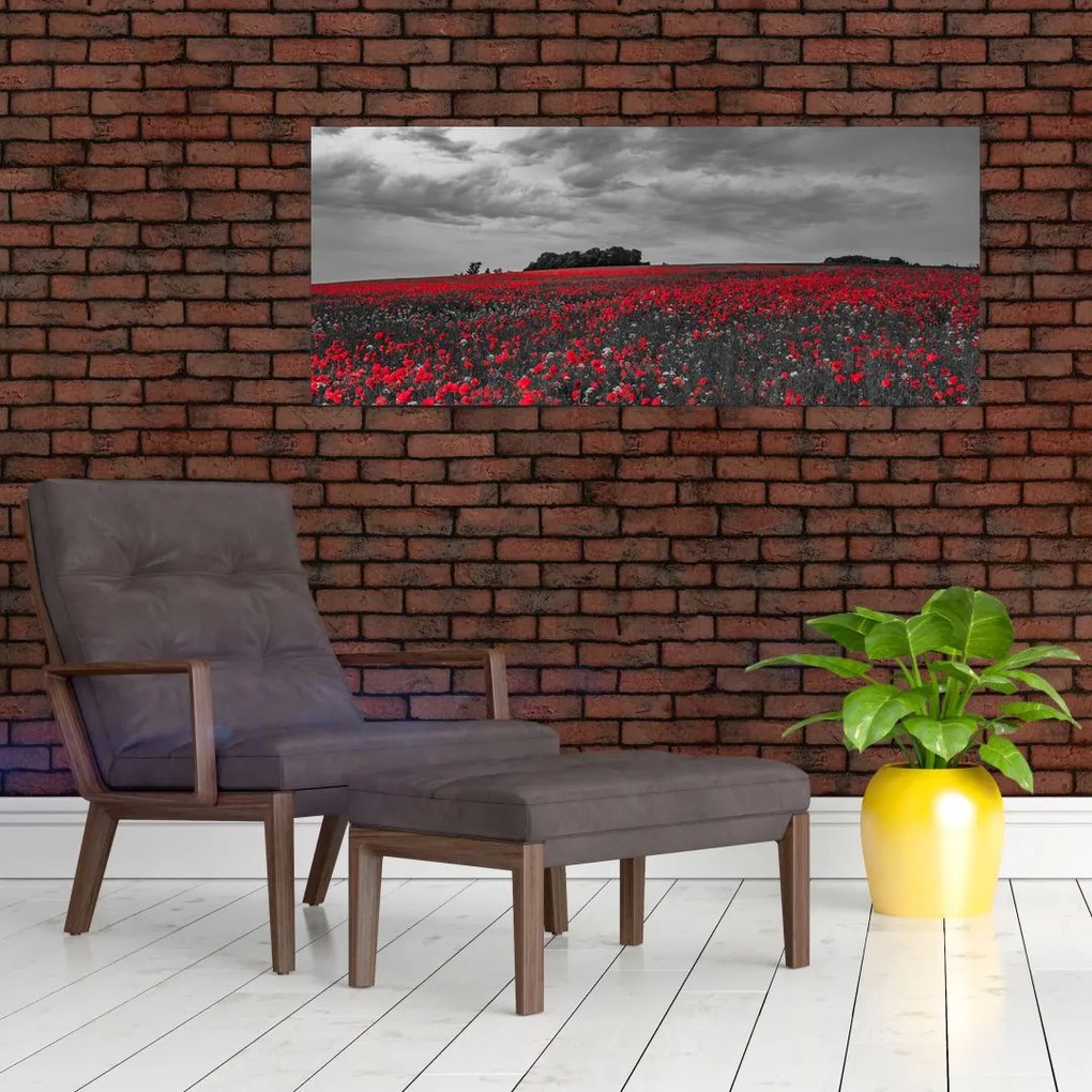 Tablou cu maci (120x50 cm)