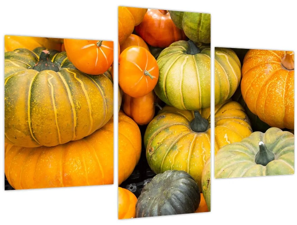 Tablou - Dovleac de toamnă (90x60 cm)