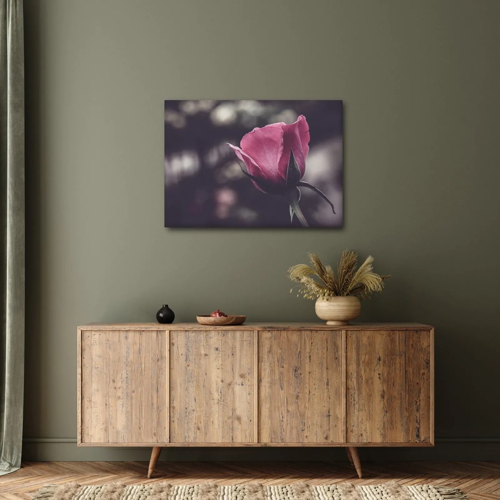 Tablou - Detaliu florii de trandafir (70x50 cm)
