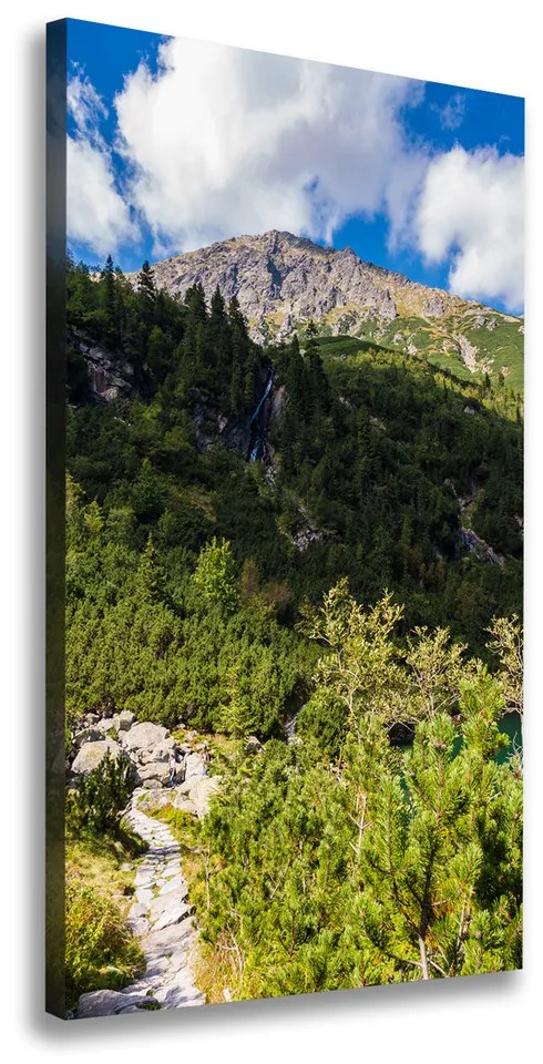 Tablou pe pânză canvas Marine ochi Tatry