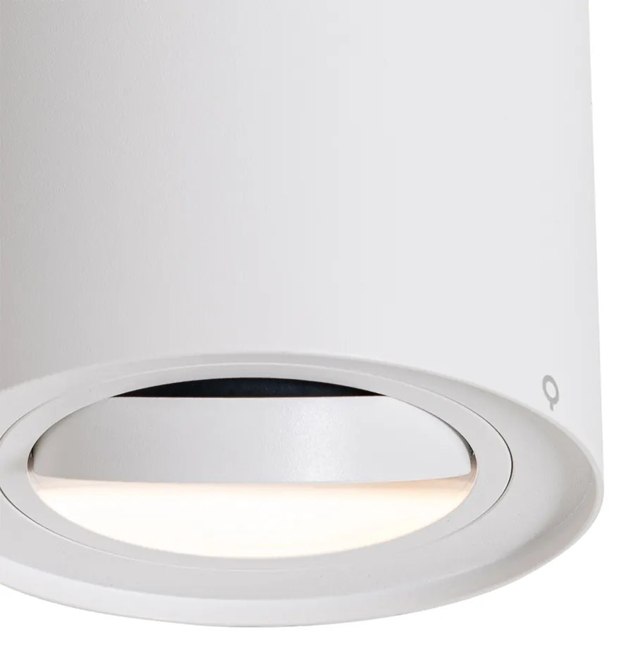 Spotlight modern de plafon alb, rotativ și înclinabil AR70 - Rondoo Up