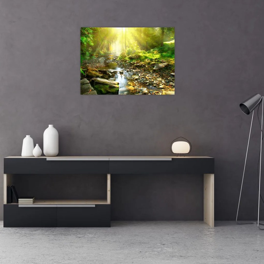 Tablou cu râul în pădurea verde (70x50 cm)