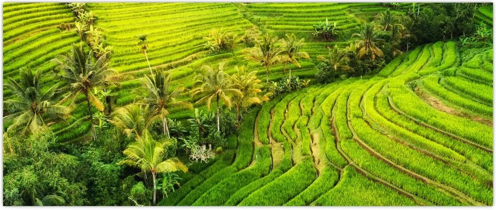 Tablou - Terase de orez (120x50 cm)