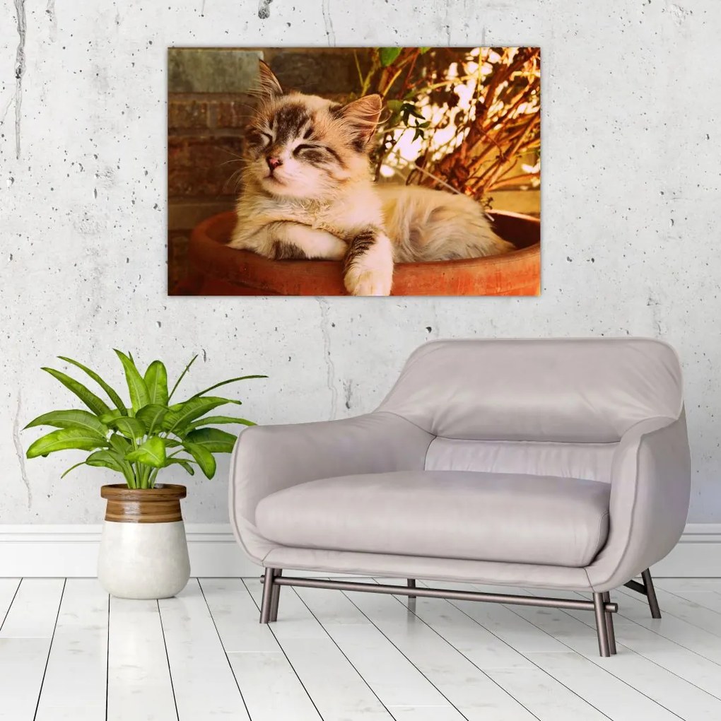 Tablou cu pisica în ghiveci (90x60 cm)