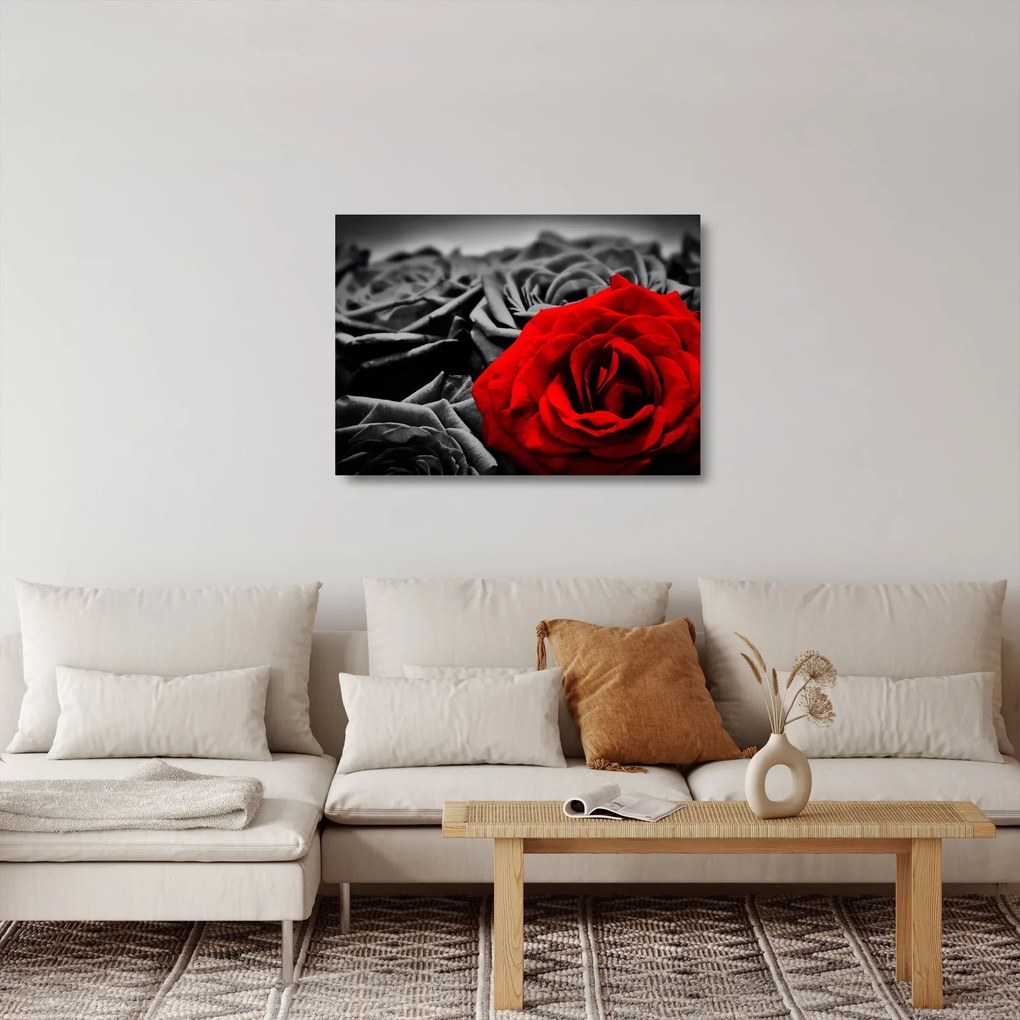 Tablou pe sticlă - Flori de trandafir (70x50 cm)