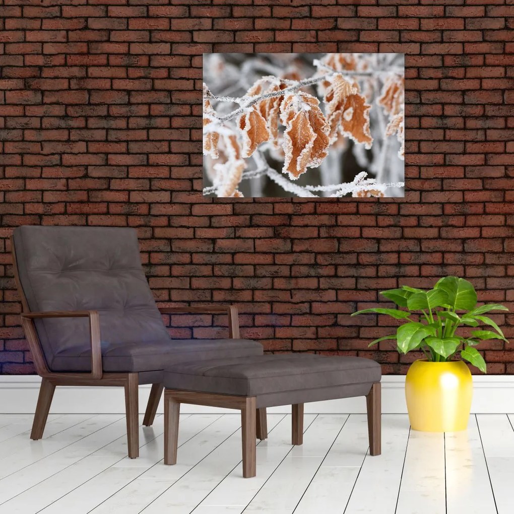 Tablou - Frunze înghețate (70x50 cm)