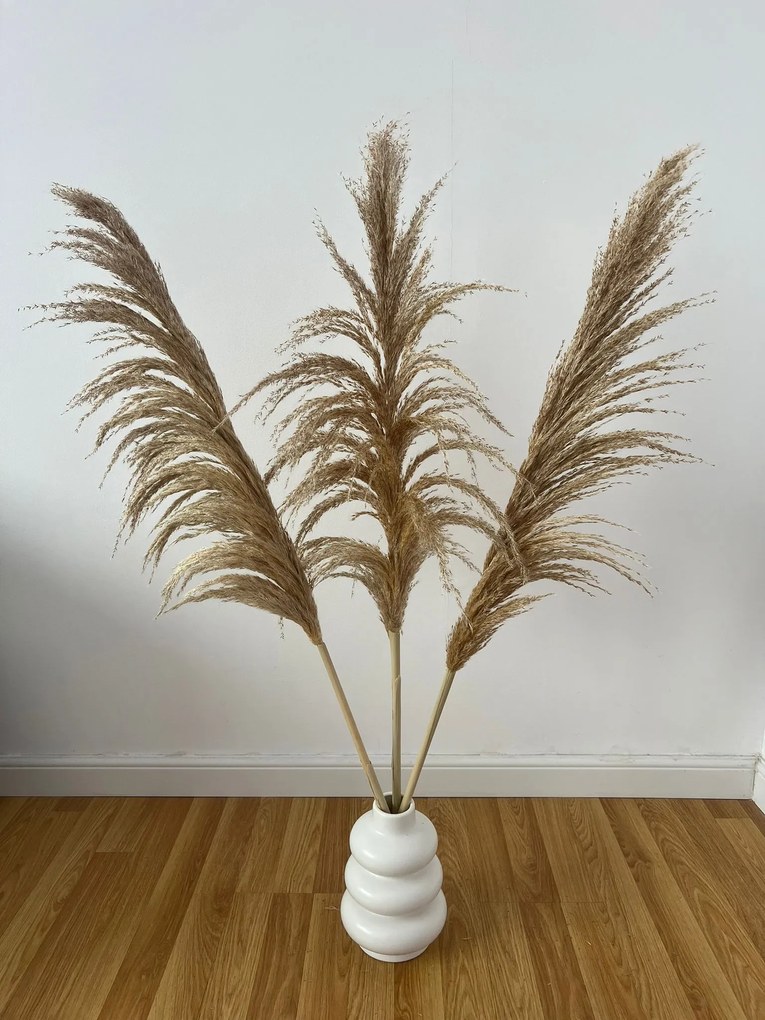 Set 3 plante naturale uscate pampas, 120 cm, maro