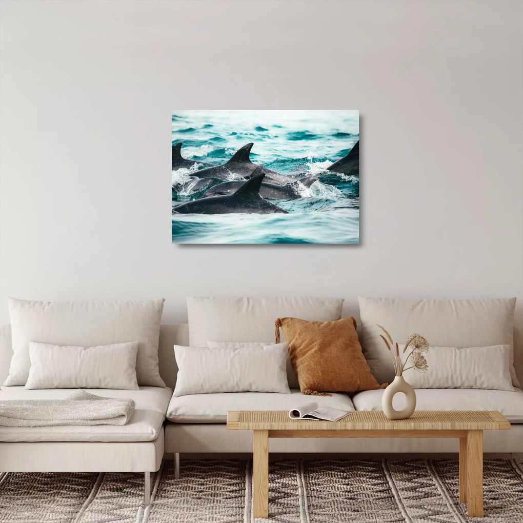Tablou pe sticlă - Delfini în ocean (70x50 cm)