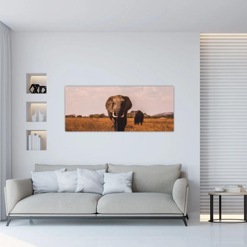 Tablou - Venirea elefantului (120x50 cm), în 40 de alte dimensiuni noi
