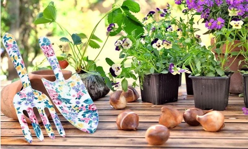 ShopJK SET UNELTE PENTRU CULTICARE EVA5986