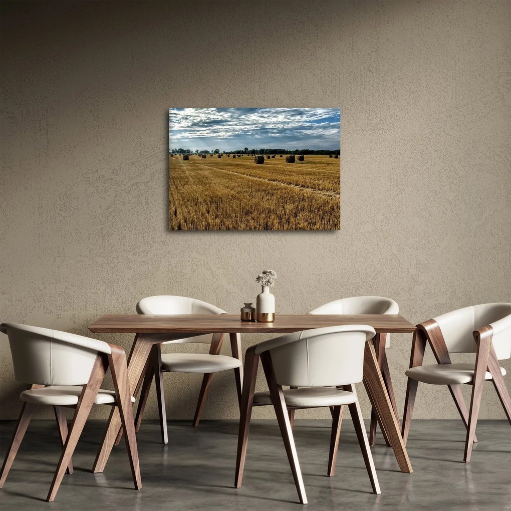 Tablou cu câmp recoltat (70x50 cm)