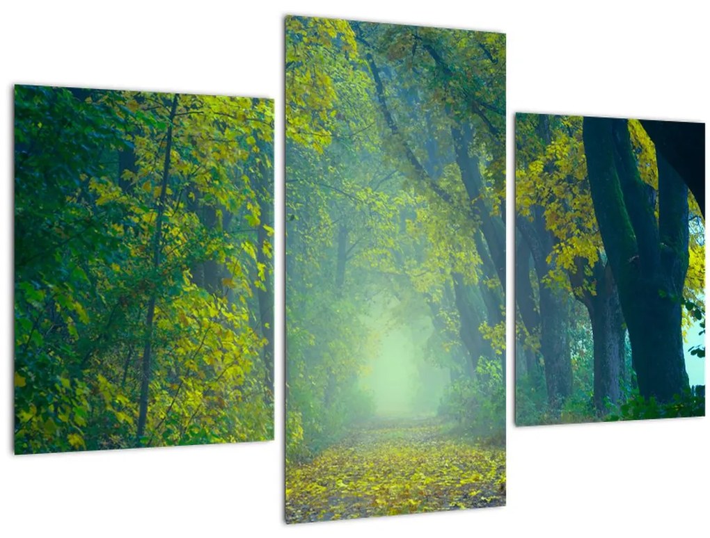 Tablou cu drum dea lungul cu copaci (90x60 cm)