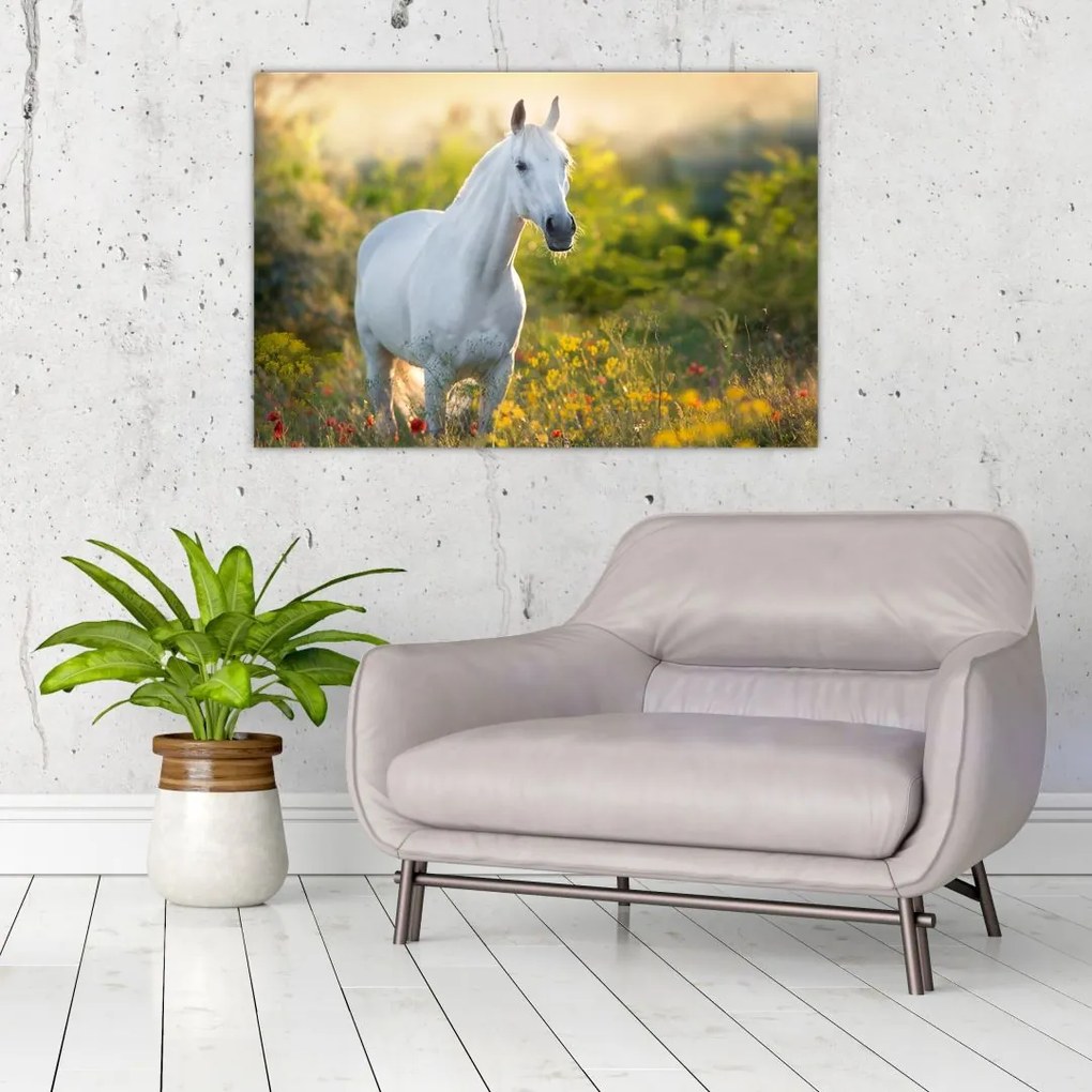Tablou - Cal alb în poină (90x60 cm)