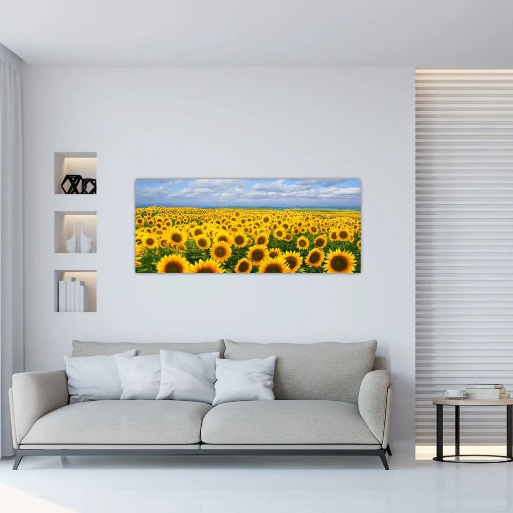 Tablou cu lan de floarea soarelui (120x50 cm)