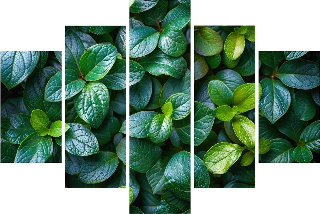 Tablou - Plante verzi (150x105 cm)