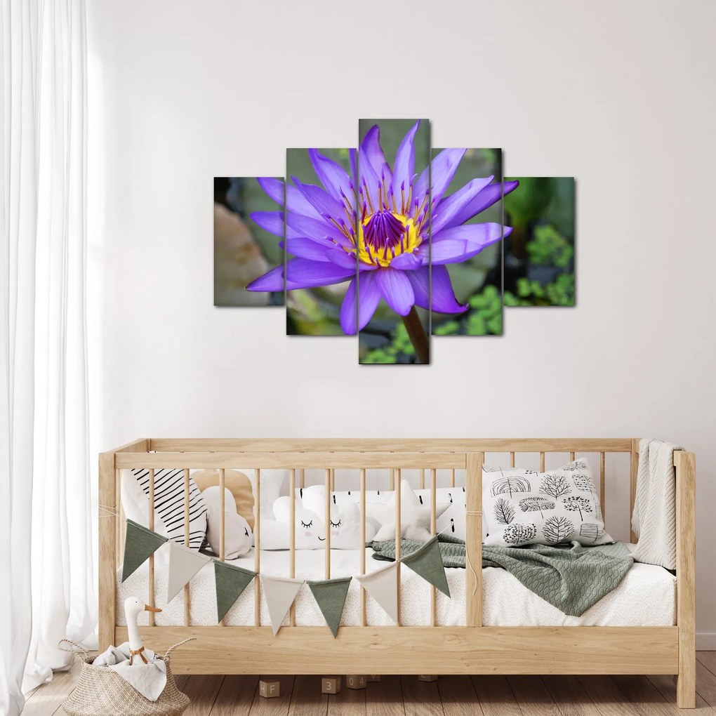 Tablou - Floare violet (150x105 cm)