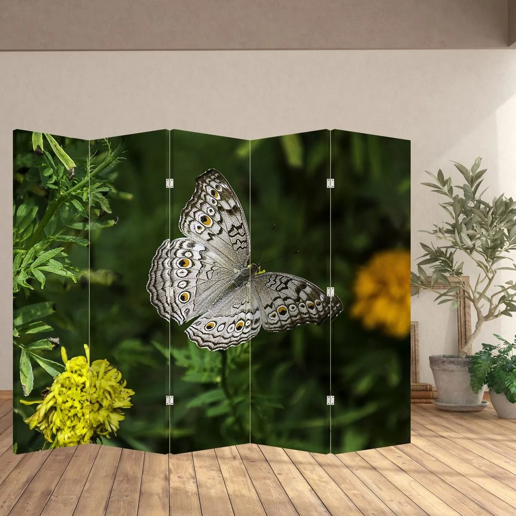 Paravan - Fluture alb (210x170 cm)