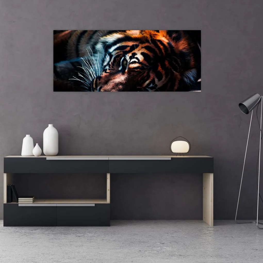 Tablou cu tigrul dormind (120x50 cm), în 40 de alte dimensiuni noi