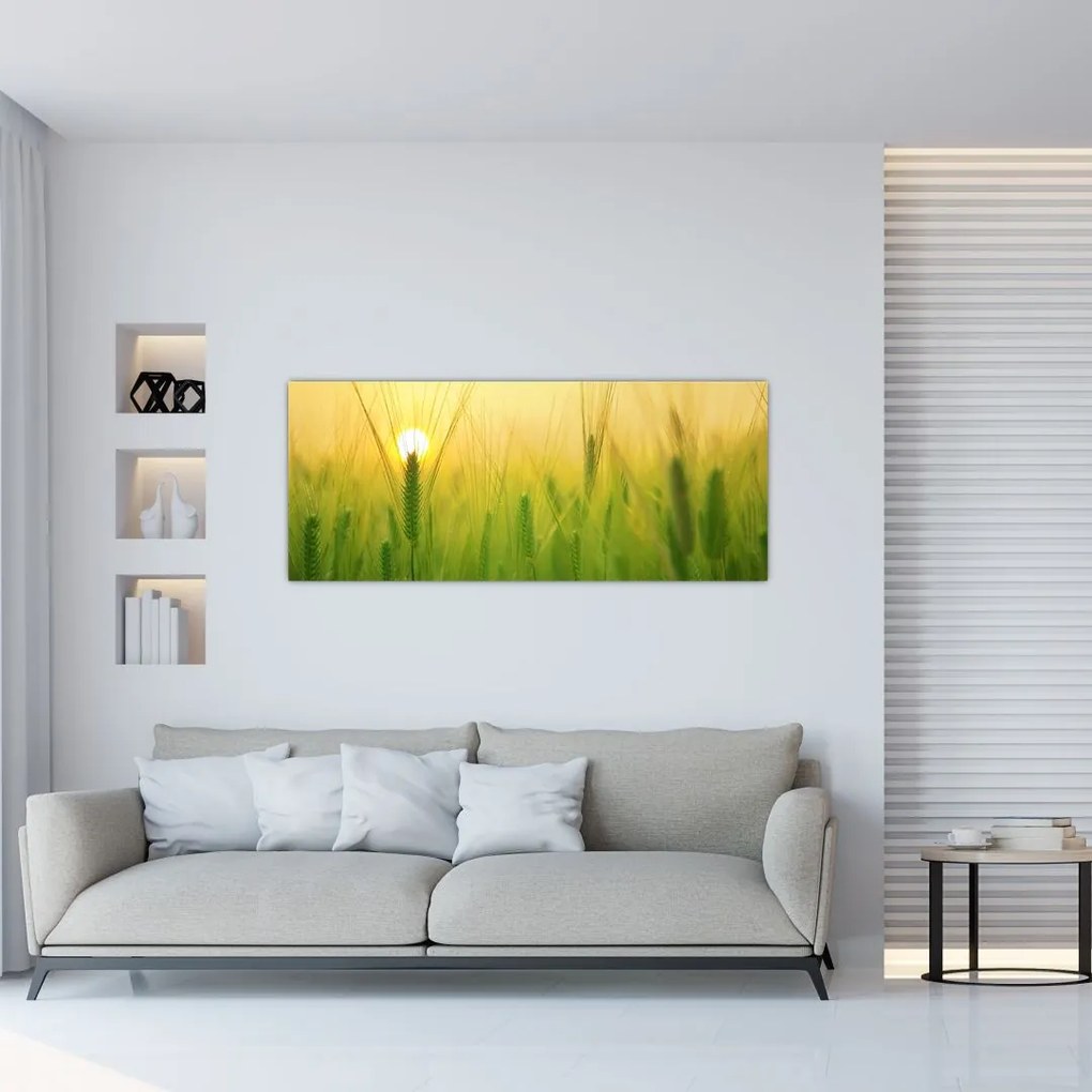 Tablou - Câmp cu cereale (120x50 cm)