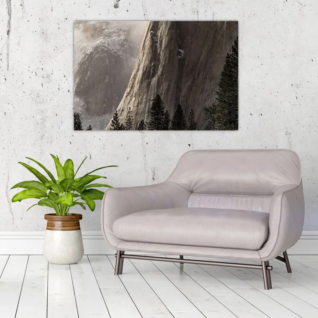 Tablou din valea Yosemite parcul național, SUA (90x60 cm)