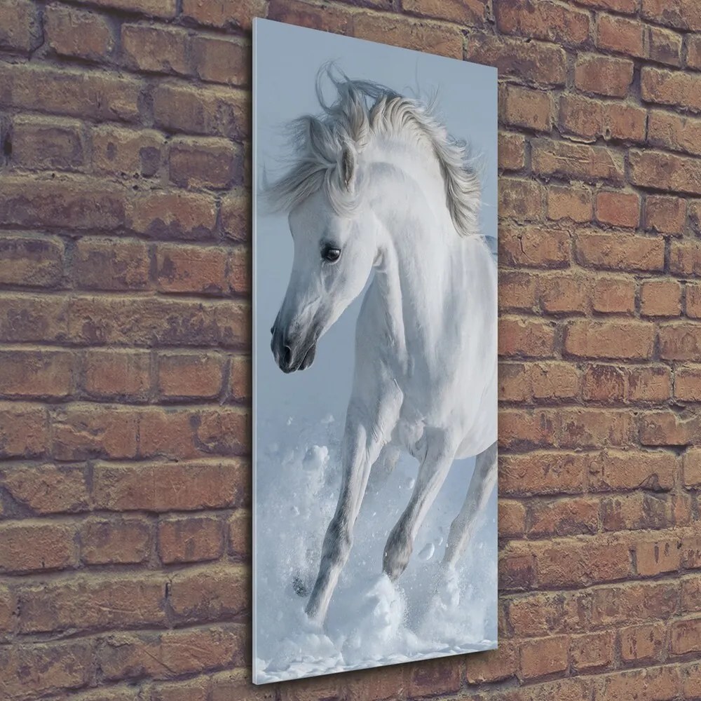 Tablou pe pe sticlă Cal alb în galop