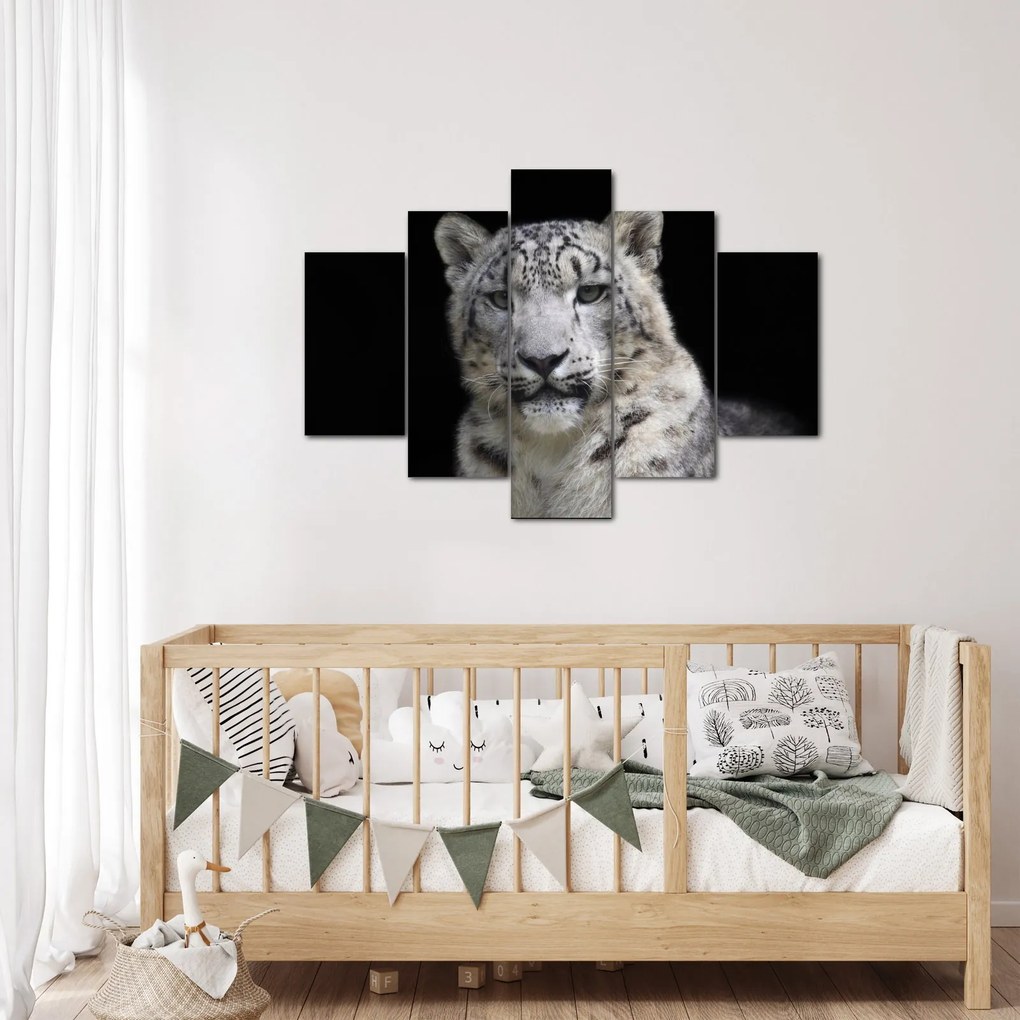 Tablou - Snow Leopard (150x105 cm)