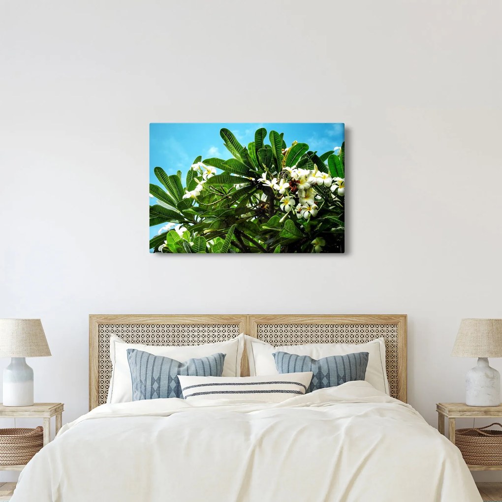 Tablou - Plumeria (90x60 cm)