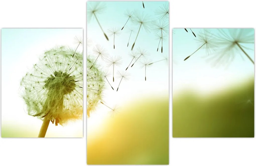 Tablou - Păpădia în vânt (90x60 cm)