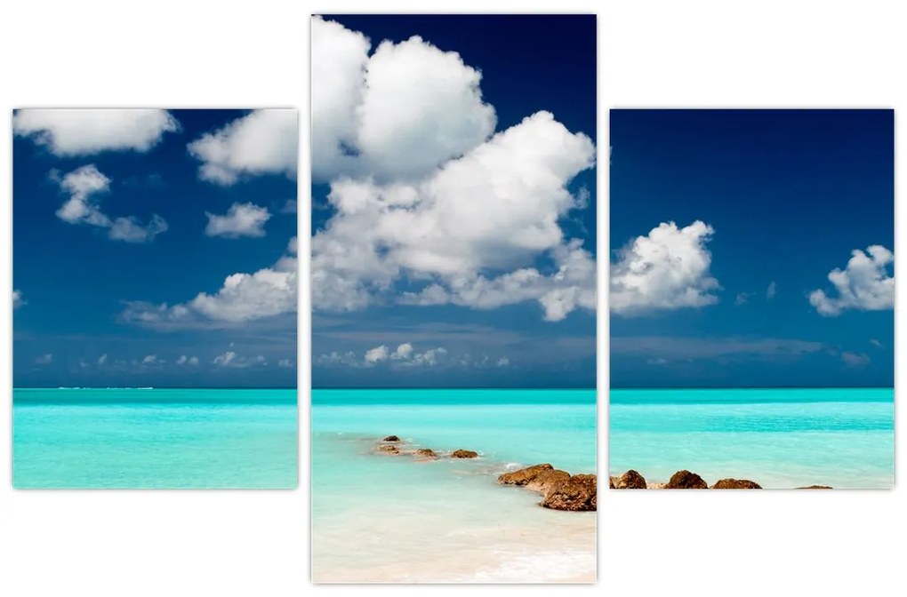 Tablou cu mare (90x60 cm)