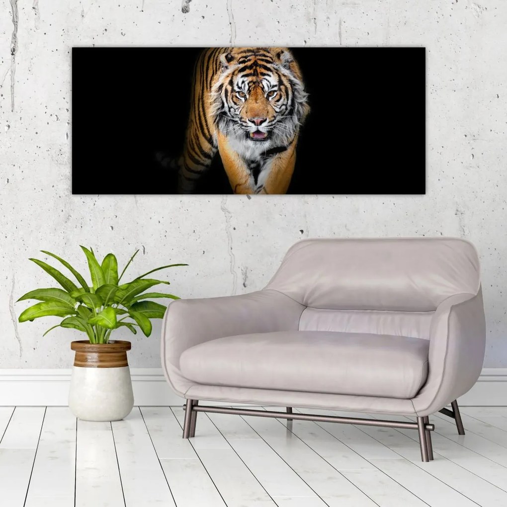 Tablou - Tiger (120x50 cm)