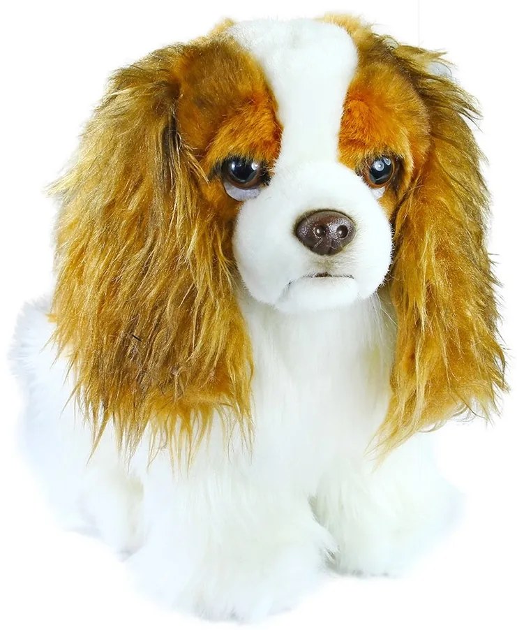 Câine King Charles spaniol Rappa, din pluș, 25 cm
