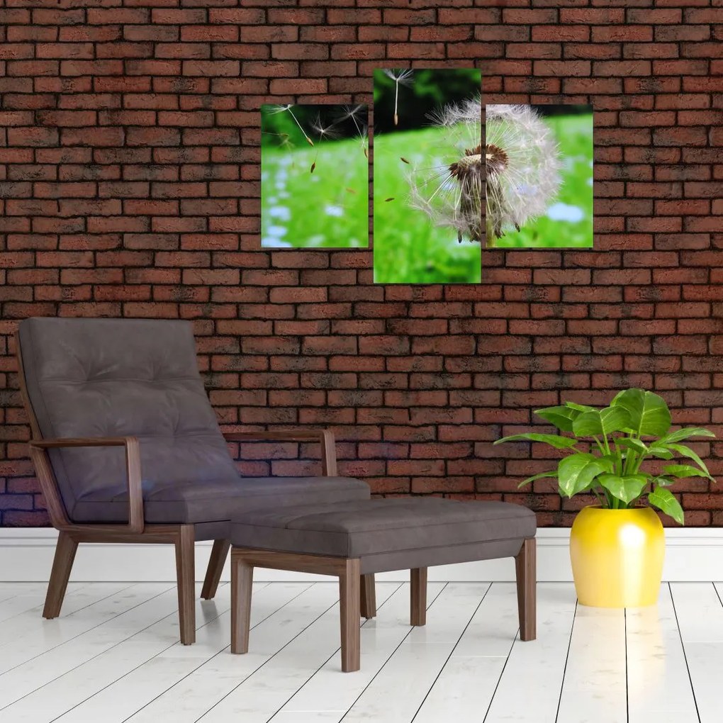 Tablou cu păpădie (90x60 cm)