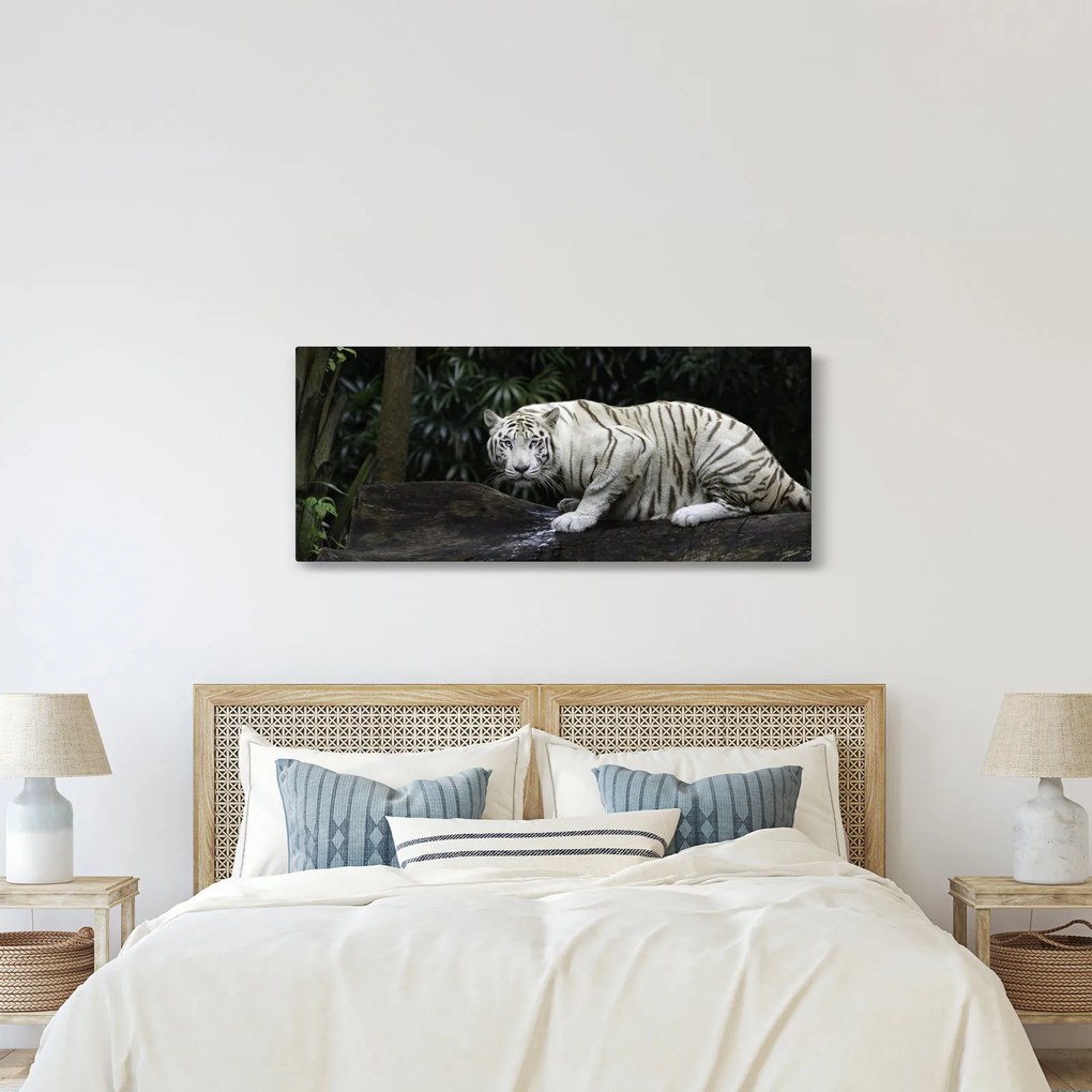Tablou - Tigru alb (120x50 cm)