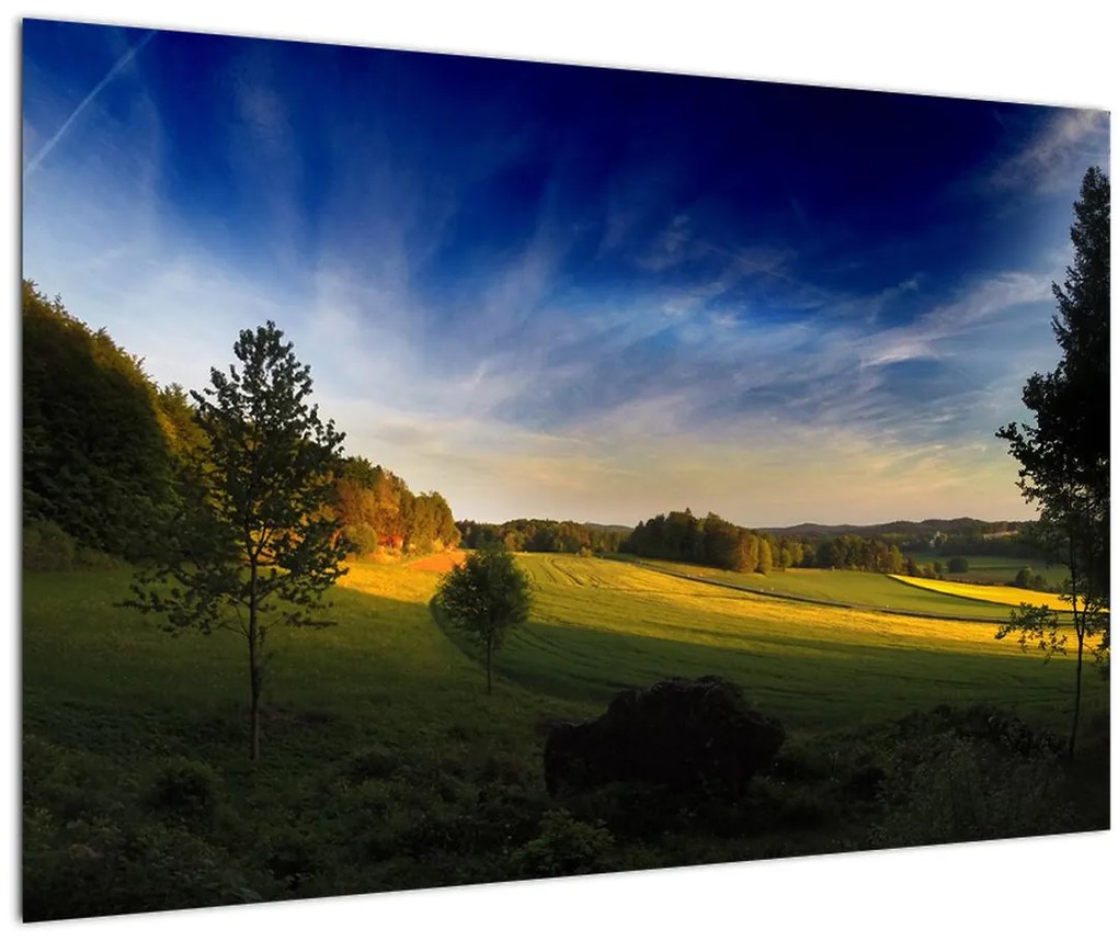 Tablou - Lunca de munte (90x60 cm)