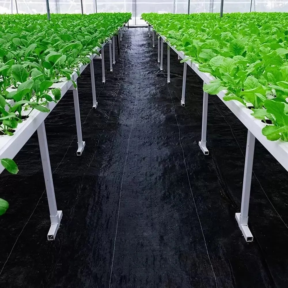 Agrotextil negru 70g/m 0,8x50m + 50 de ace