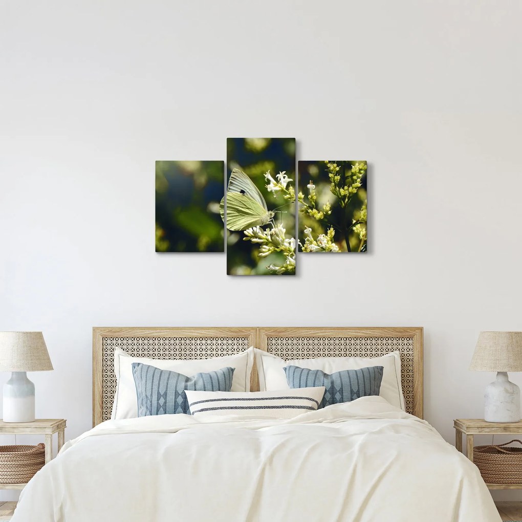 Tablou cu fluture (90x60 cm)