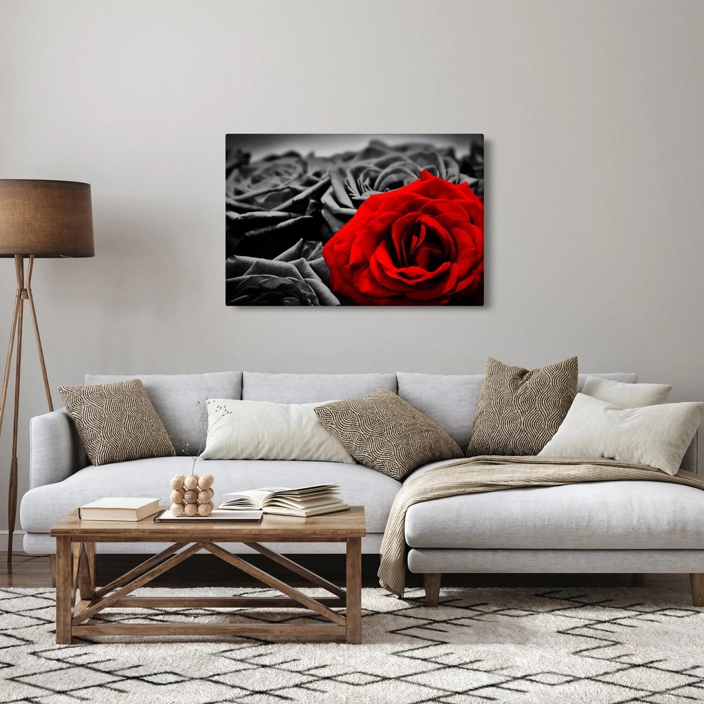Tablou - Flori de trandafir (90x60 cm)