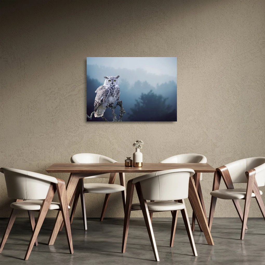 Tablou pe sticlă - Bufniță de zăpadă (70x50 cm)