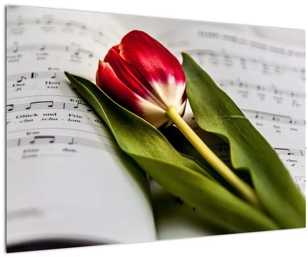 Tablou - Lalea roșie (90x60 cm)