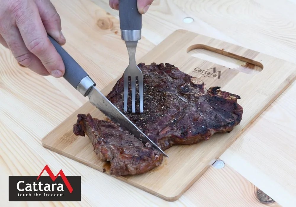 Set de tacâmuri pentru friptură Cattara Grill SHARK, 24 cm