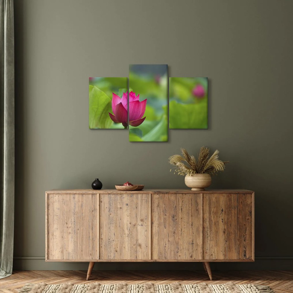 Tablou - floare de apă (90x60 cm)