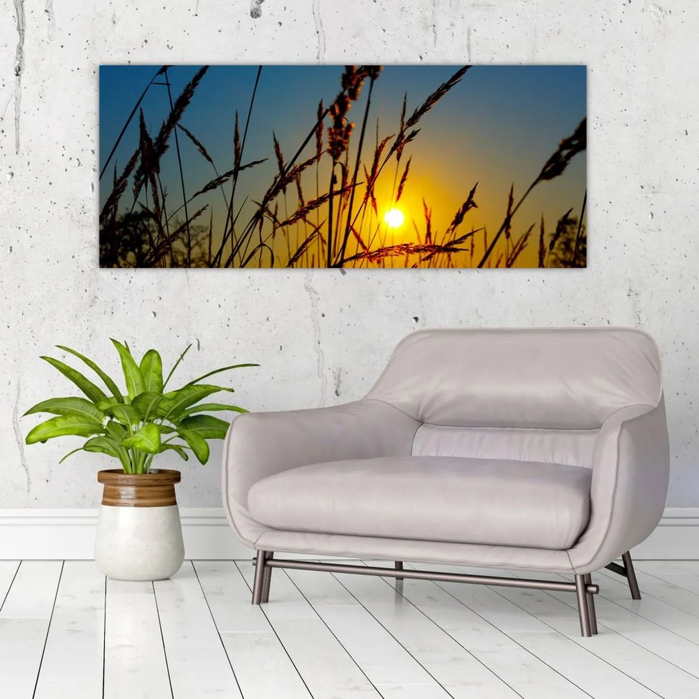 Tablou - Apus de soare pe pajiște (120x50 cm)
