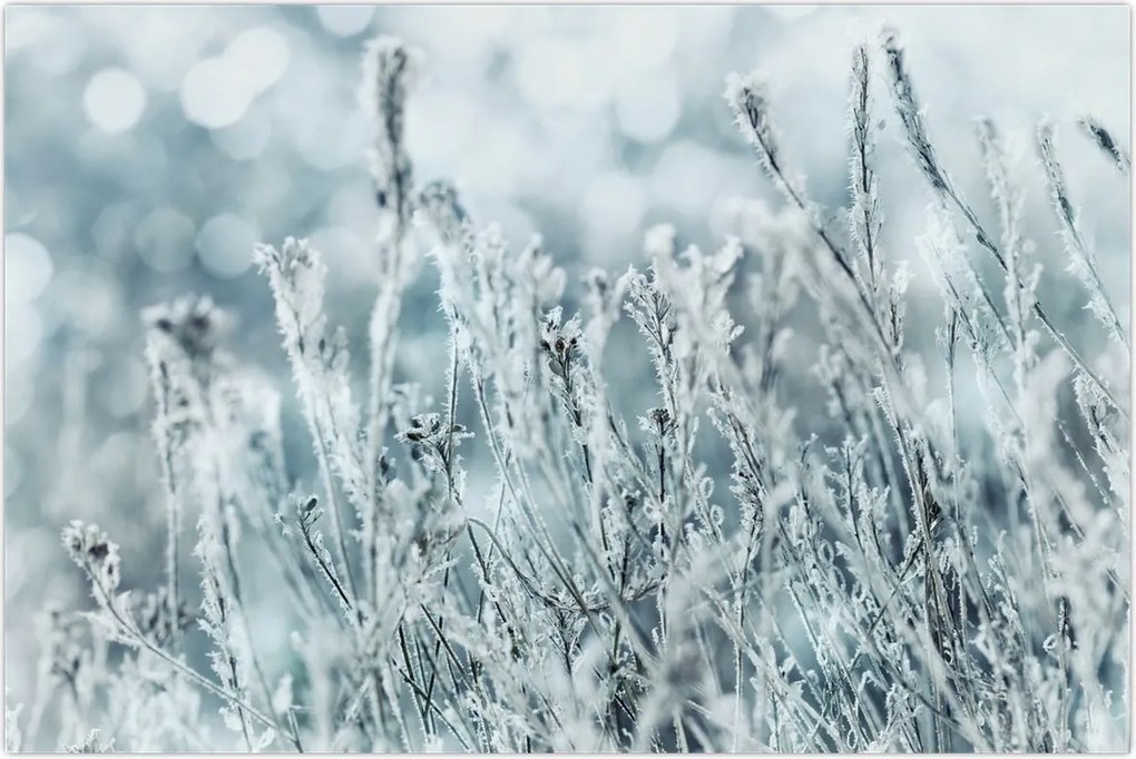 Tablou - Magia iernii (90x60 cm)