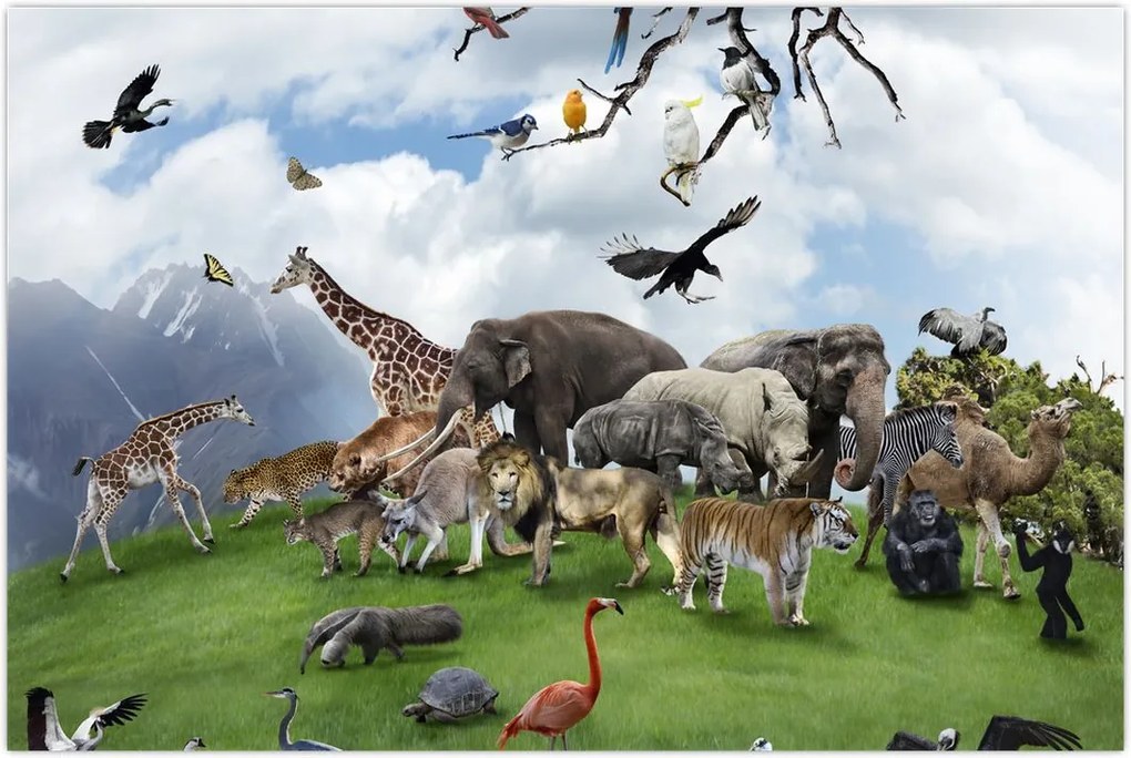 Tablou - Animale pe insulă (90x60 cm)