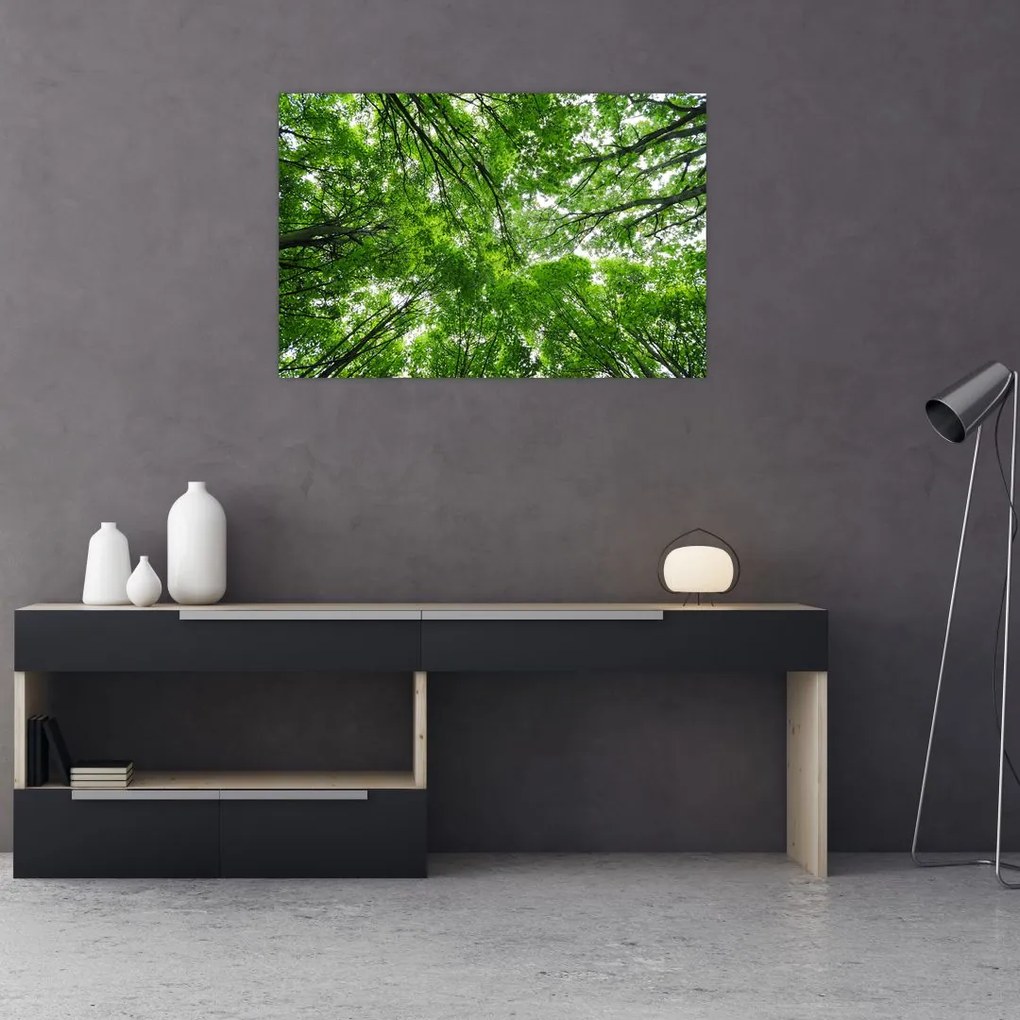 Tablou - privire în coroanele pomilor (90x60 cm)